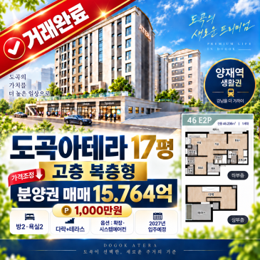 도곡아테라 17평 사진